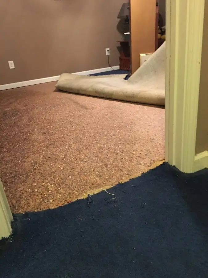 Carpet pad removal revealing water damage during Drying & Dehumidification in Flower Hill