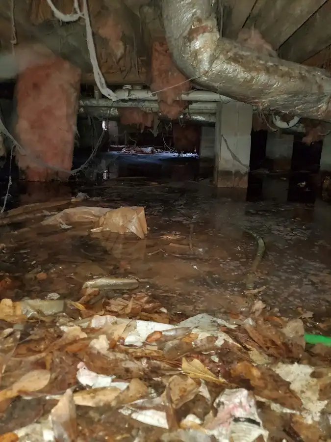 Crawl space flood assessment for Leak Detection & Repair in Flower Hill
