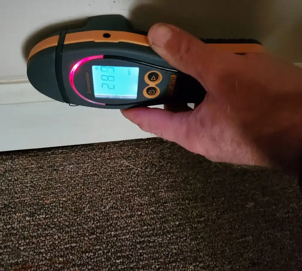 Moisture detection at baseboard during Burst Pipe Cleanup in Flower Hill